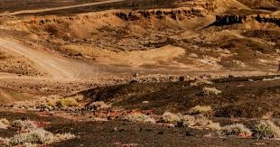 达比修有投捕默契持续提升